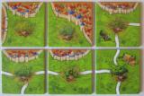 Carcassonne: Ovocné stromy (Nová edice) Screenshot