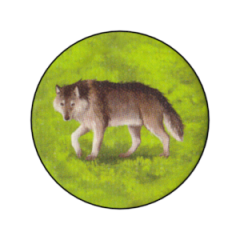 nahled-obrazek