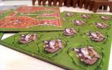 Carcassonne: Královský dar (Nová edice) Screenshot