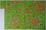 Carcassonne: Nová edice Screenshot