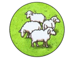 Ovce (Carcassonne 1) Screenshot